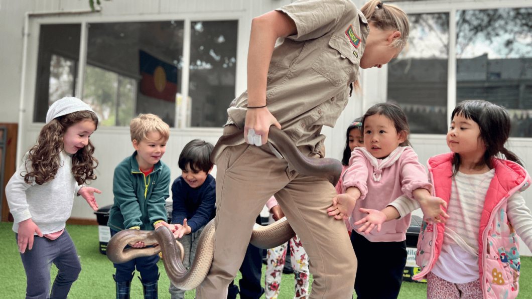 Choklits Kindergarten Reptile Incursion