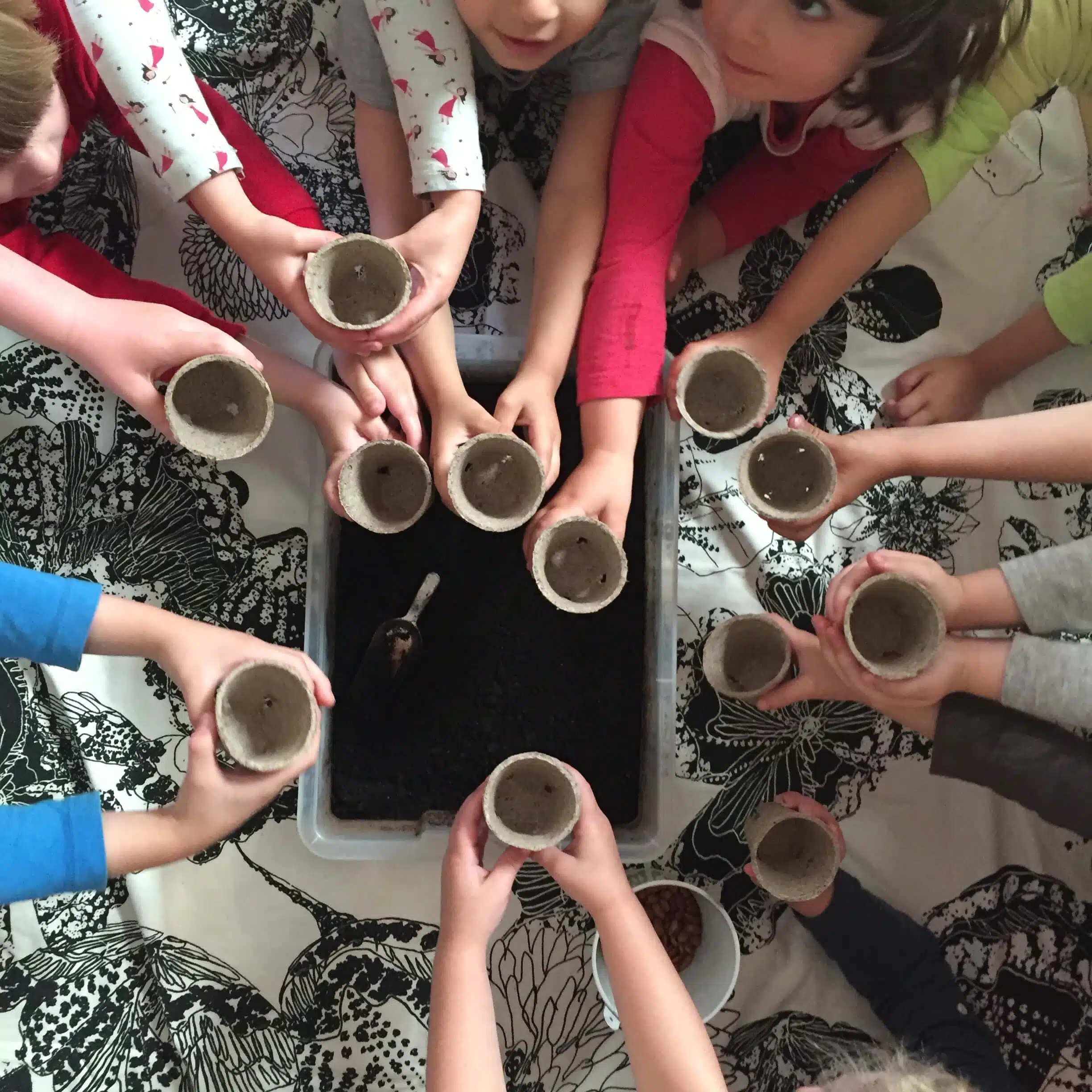 Newsletter February 2018